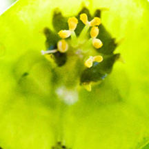 免费ddos攻击网页端